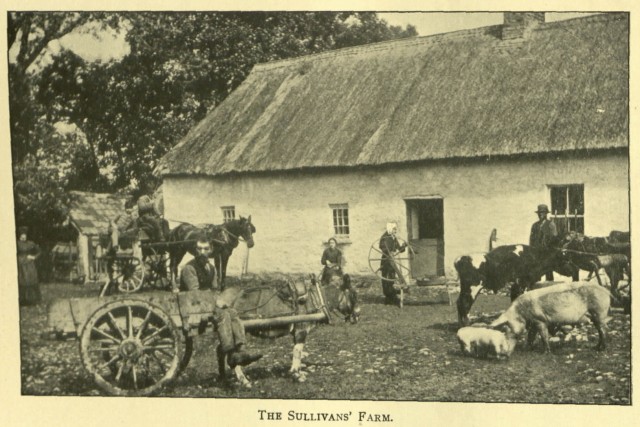 Mary'nin Dönüşü Fotoğrafı