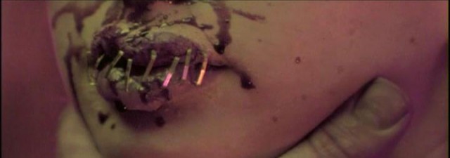 Live Feed fotoğrafı