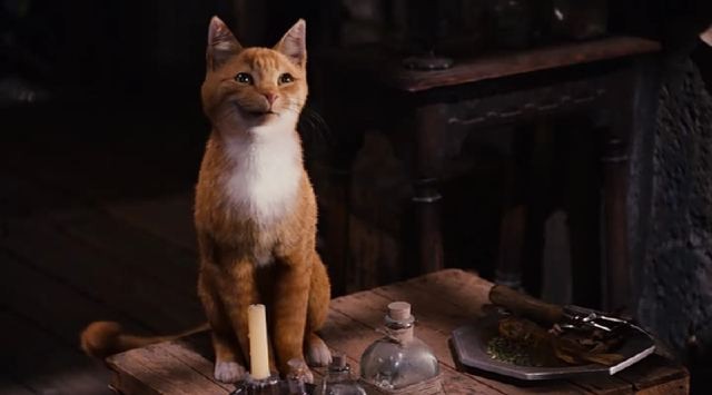 Şirinler Fotoğrafı