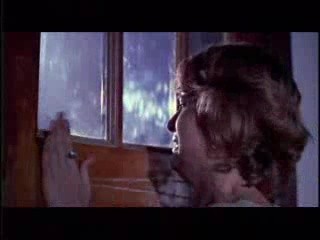 American Nightmare fotoğrafı