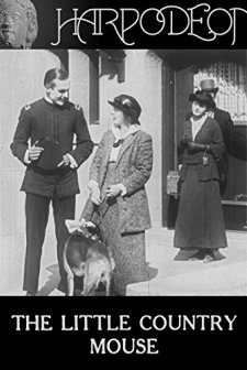 The Little Country Mouse (1914) afişi