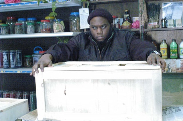 State Property 2 fotoğrafı