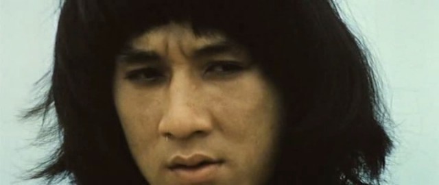 Shaolin'in Yılan Ve Turna Tekniği Fotoğrafı