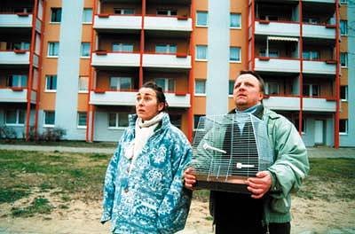 Halbe Treppe Fotoğrafı