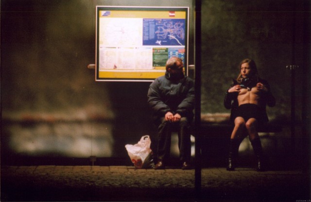 Katze Im Sack Fotoğrafı