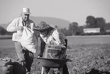 Toplayıcılar fotoğrafı