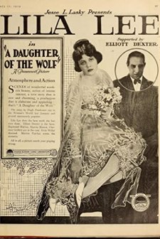 A Daughter Of The Wolf (1919) afişi
