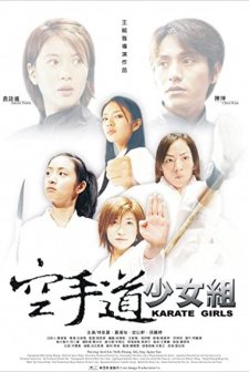Kung Fu Girls (2003) afişi