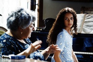 Vanilya Ve Çikolata Fotoğrafı