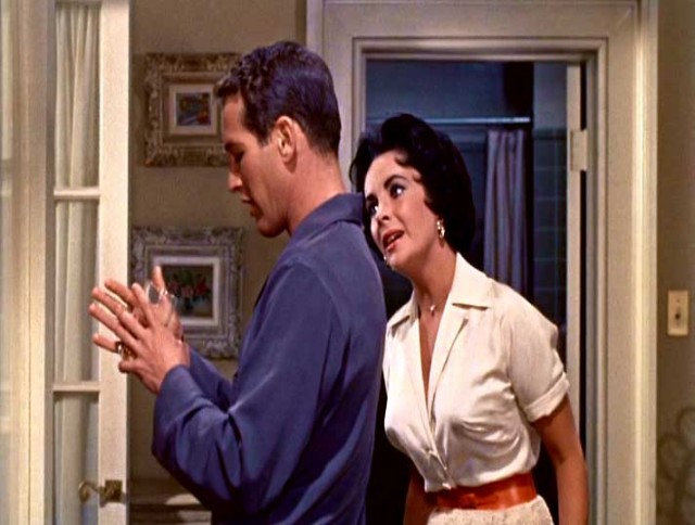 Kızgın Damdaki Kedi Fotoğrafı