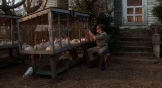 Hayvan Mezarlığı 2 Fotoğrafı