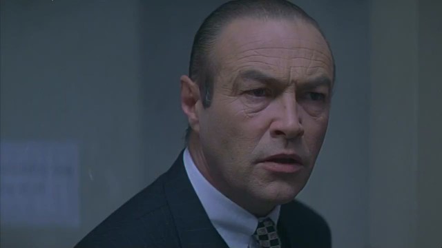 Afrika Kaplanı Fotoğrafı