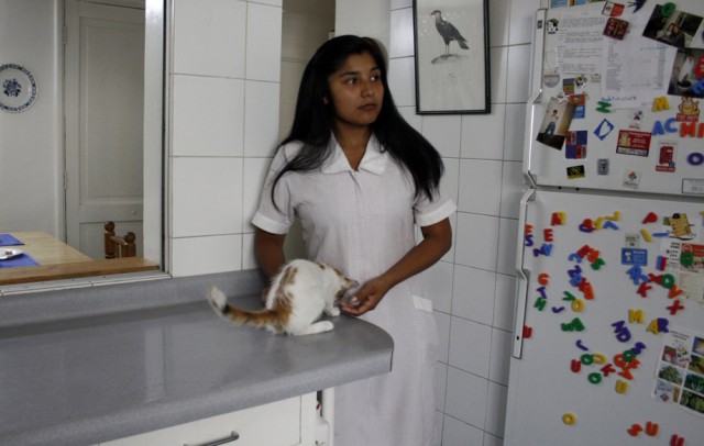 La Nana / The Maid Fotoğrafı