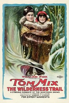 The Wilderness Trail (1919) afişi