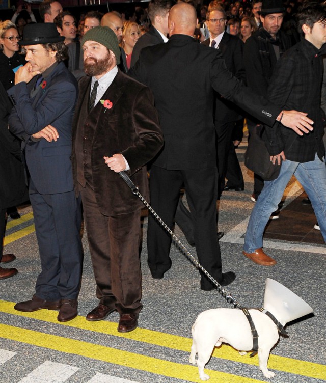 Git Başımdan Fotoğrafı