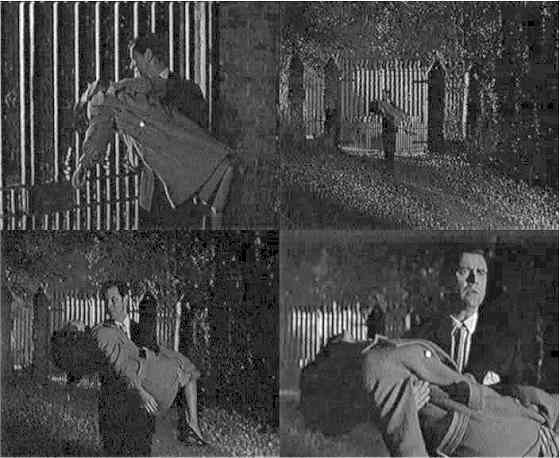 Curse Of The Fly fotoğrafı