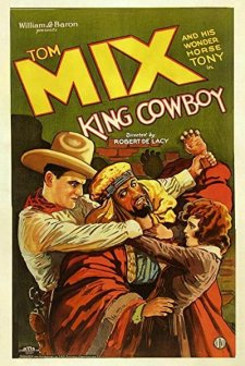 King Cowboy (1928) afişi