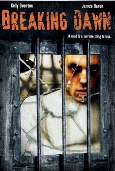 The Gleam Of Dawn (2004) afişi