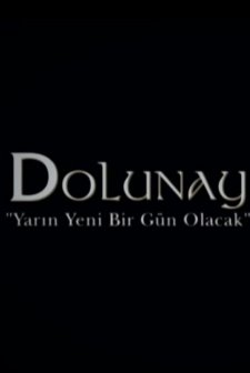 Dolunay (2017) afişi