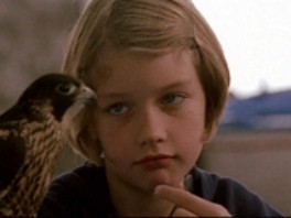 Falkehjerte Fotoğrafı