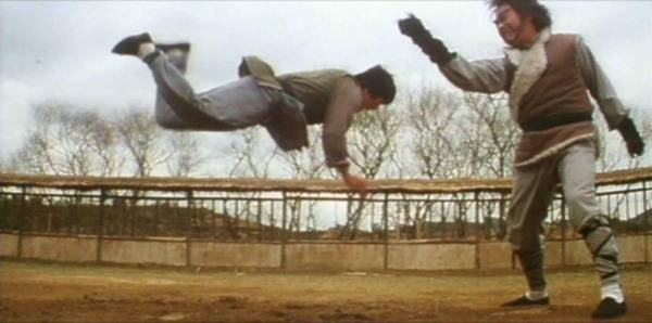 Drunken Tai Chi Fotoğrafı