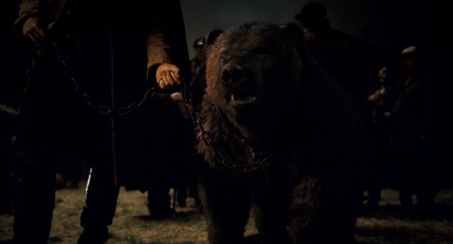 Kurt Adam Fotoğrafı