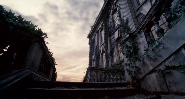 Kurt Adam Fotoğrafı