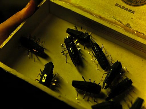 Bir Nokta Sıfır fotoğrafı