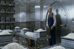 Kusursuz Fotoğrafı