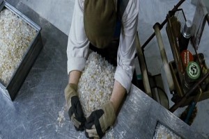 Kusursuz Fotoğrafı