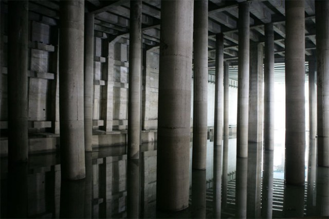 Yaratık Fotoğrafı