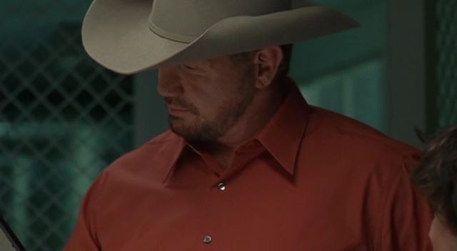 Driftwood Fotoğrafı