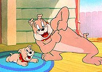 Slicked-up Pup Fotoğrafı