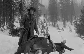 Day Of The Outlaw Fotoğrafı