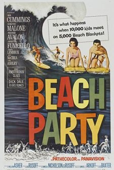 Beach Party (1963) afişi