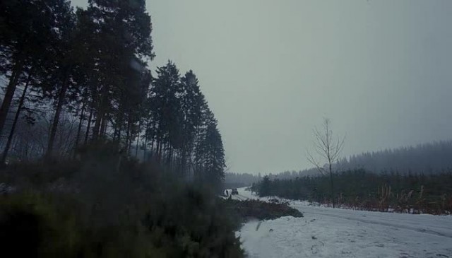 Zoraki Kral Fotoğrafı