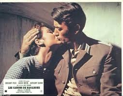 Navaron'un Topları Fotoğrafı