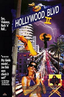 Hollywood Boulevard II (1990) afişi