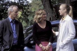 Kırık Çiçekler Fotoğrafı