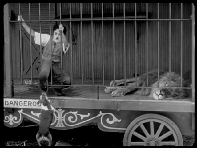 Cambazhane Fotoğrafı