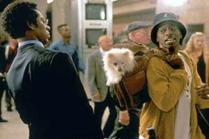 Double Take Fotoğrafı