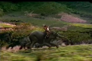 Orman Kaçkını Fotoğrafı