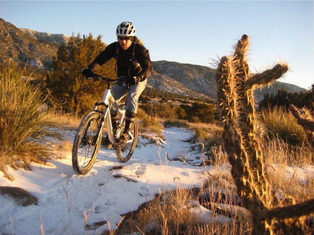 Rubber Side Down fotoğrafı