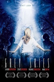 Grey Skies (2010) afişi