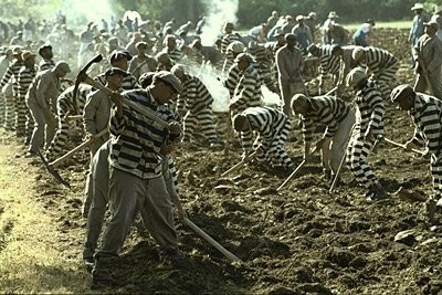 Yeşil Yol Fotoğrafı