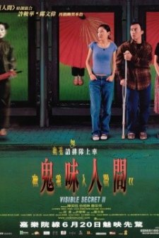 Visible Secret 2 (2002) afişi