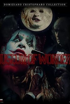 Harikalar Müzesi (2010) afişi