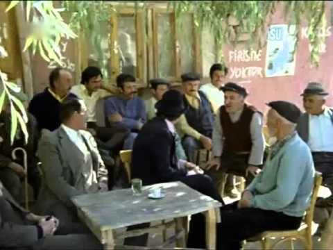 Ateş Böceği fotoğrafı