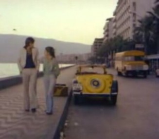 Ateş Böceği Fotoğrafı