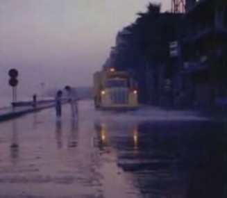 Ateş Böceği Fotoğrafı